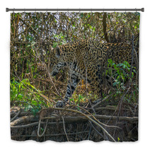 Side View Of Jaguar In Pantanal Walking Through The Forest Bath Decor 70117125