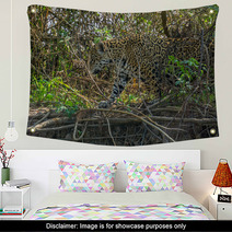 Side View Of Jaguar In Pantanal Walking Through The Forest Wall Art 70117125