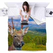 Sika Deer Blankets 57050185