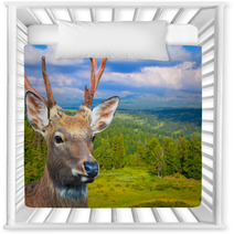 Sika Deer Nursery Decor 57050185