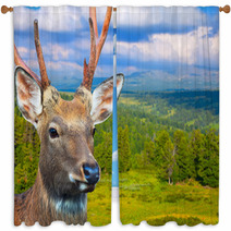 Sika Deer Window Curtains 57050185
