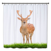 Sika Deer With Green Grass Isolated Bath Decor 57493015