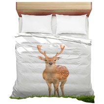 Sika Deer With Green Grass Isolated Bedding 57493015