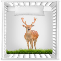 Sika Deer With Green Grass Isolated Nursery Decor 57493015