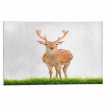 Sika Deer With Green Grass Isolated Rugs 57493015