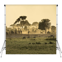 Silhouette Di Giraffe Backdrops 64472028