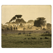 Silhouette Di Giraffe Rugs 64472028