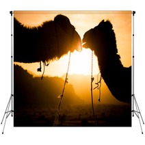 Silhouette Of A Camels Backdrops 85687933