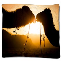 Silhouette Of A Camels Blankets 85687933