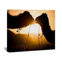 Silhouette Of A Camels Wall Art 85687933