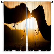 Silhouette Of A Camels Window Curtains 85687933