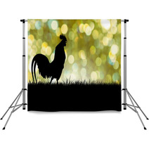 Silhouette Of Roosters Crow On The Lawn On Green Boken Backgroun Backdrops 88485620