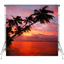 Silhouetted Palm Trees On A Beach At Sunset, Ofu Island, Tonga Backdrops 67306571