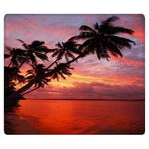 Silhouetted Palm Trees On A Beach At Sunset, Ofu Island, Tonga Rugs 67306571