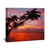 Silhouetted Palm Trees On A Beach At Sunset, Ofu Island, Tonga Wall Art 67306571