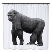 Silverback Gorilla Isolated On White Background Bath Decor 54061358