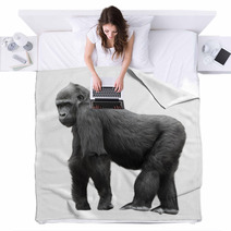 Silverback Gorilla Isolated On White Background Blankets 54061358
