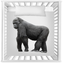 Silverback Gorilla Isolated On White Background Nursery Decor 54061358