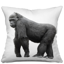 Silverback Gorilla Isolated On White Background Pillows 54061358