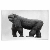 Silverback Gorilla Isolated On White Background Rugs 54061358