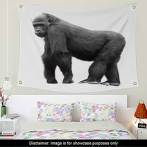 Silverback Gorilla Isolated On White Background Wall Art 54061358