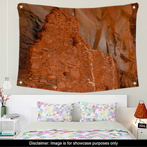 Sinagua Cliff Dwelling Wall Art 51206731