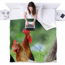 Singing Rooster Over Green Background Blankets 78952565
