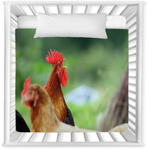 Singing Rooster Over Green Background Nursery Decor 78952565