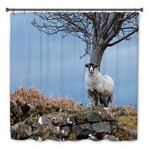 Single Watchful White Sheep Standing On The Rocks Bath Decor 98240878
