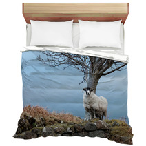 Single Watchful White Sheep Standing On The Rocks Bedding 98240878