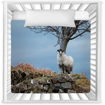Single Watchful White Sheep Standing On The Rocks Nursery Decor 98240878