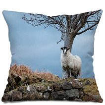 Single Watchful White Sheep Standing On The Rocks Pillows 98240878