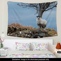 Single Watchful White Sheep Standing On The Rocks Wall Art 98240878