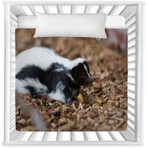 Skunk Nursery Decor 70163858