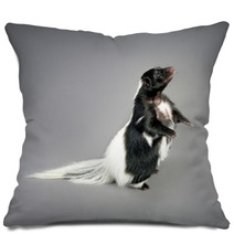 Skunk Pillows 38809219
