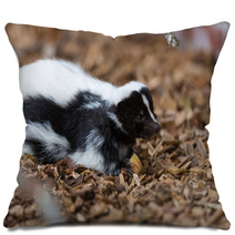 Skunk Pillows 70163858
