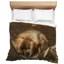 Sleeping Armadillo (Chaetophractus Villosus) Bedding 51862042