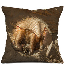Sleeping Armadillo (Chaetophractus Villosus) Pillows 51862042