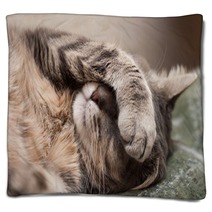 Sleeping Cat Blankets 60004772