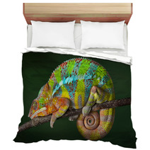 Sleeping Chameleon Bedding 40913001