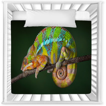 Sleeping Chameleon Nursery Decor 40913001