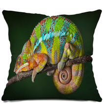 Sleeping Chameleon Pillows 40913001