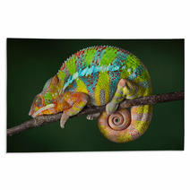 Sleeping Chameleon Rugs 40913001