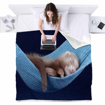 Sleeping ferret Blankets 74694017