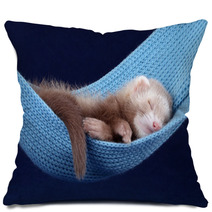 Sleeping ferret Pillows 74694017