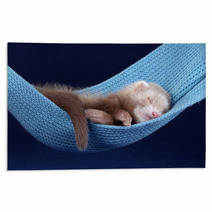 Sleeping ferret Rugs 74694017