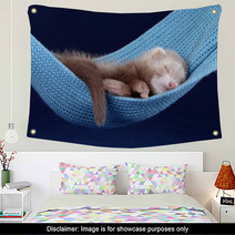 Sleeping ferret Wall Art 74694017