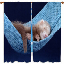 Sleeping ferret Window Curtains 74694017