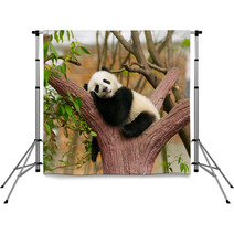 Sleeping Giant Panda Baby Backdrops 46793471