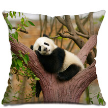 Sleeping Giant Panda Baby Pillows 46793471